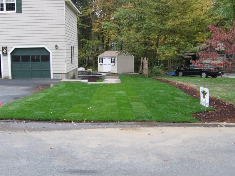 Fresh sod lawn installed by Gold Star Landscaping